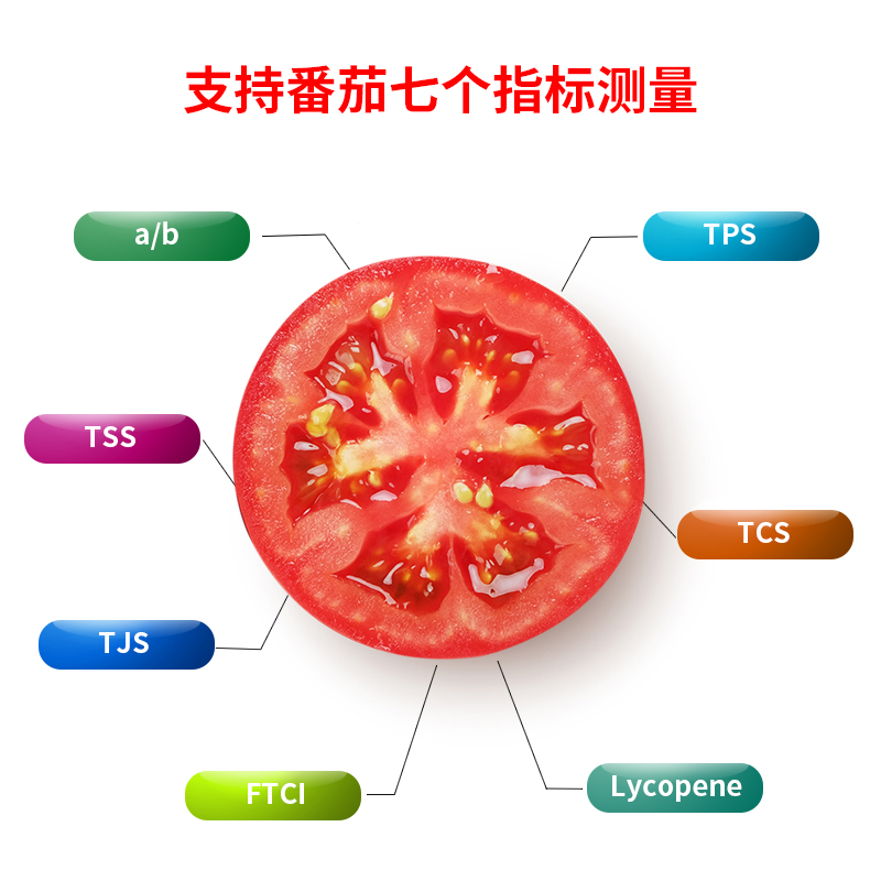 分光测色仪YS4582（番茄色度专用）